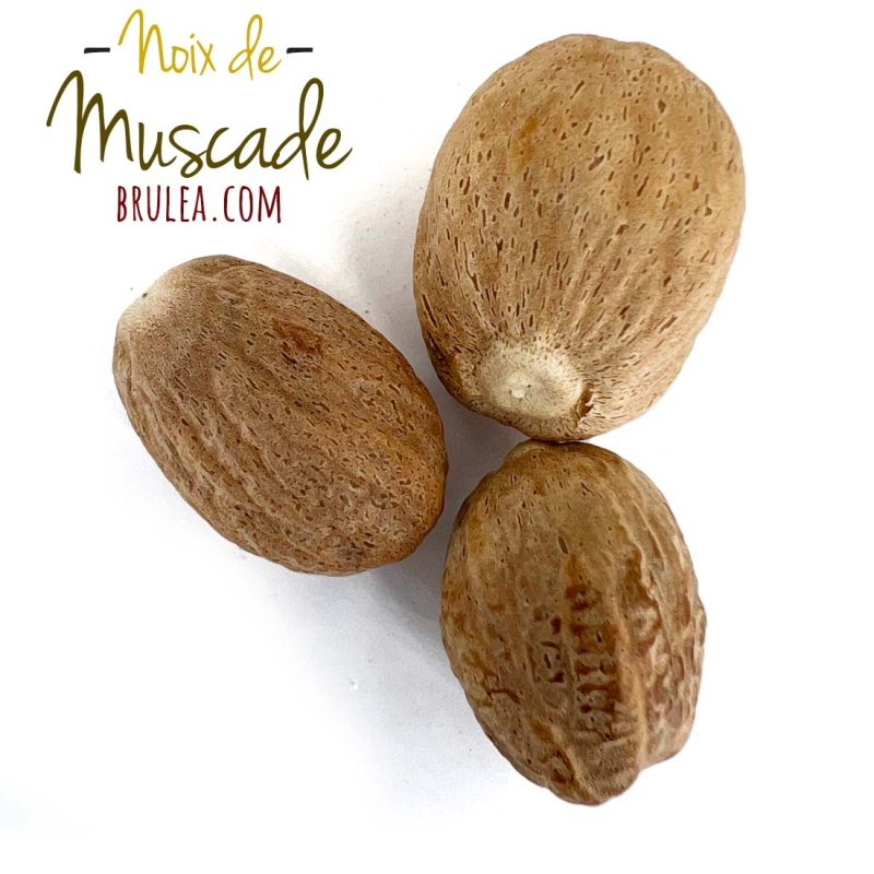 Noix de muscade | Brulea : L'artisan des saveurs 2