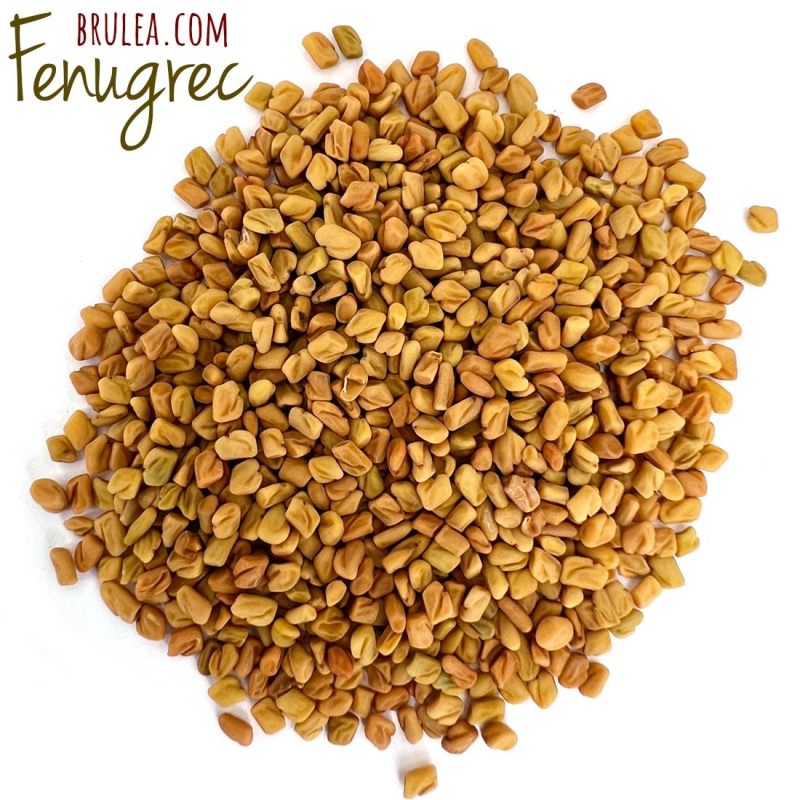 Fenugrec, l'épice aux saveurs complexes pour des plats délicieux